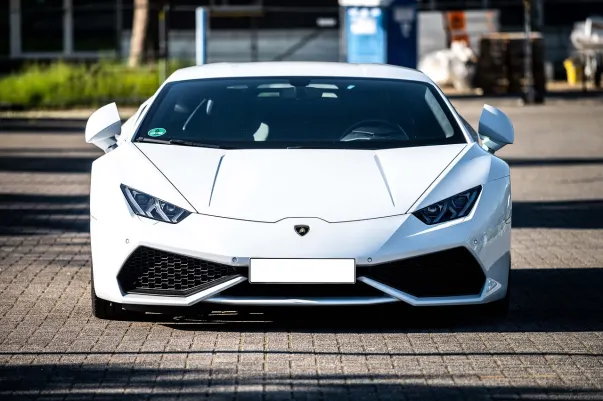 Dotty Bingo Casino Android/iOS App